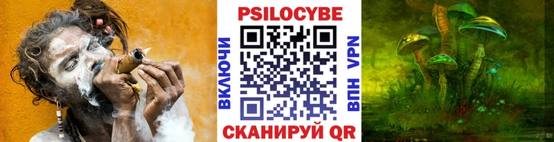 Галлюциногенные грибы GOLDEN TEACHER  продажа наркотиков  Брянск 