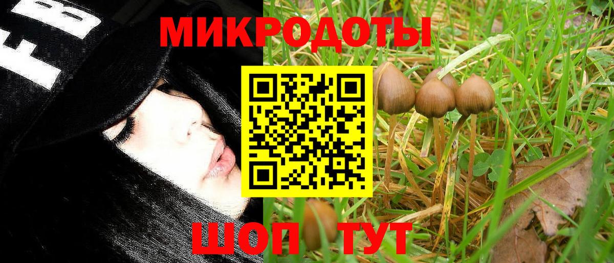 Псилоцибиновые грибы мицелий Брянск