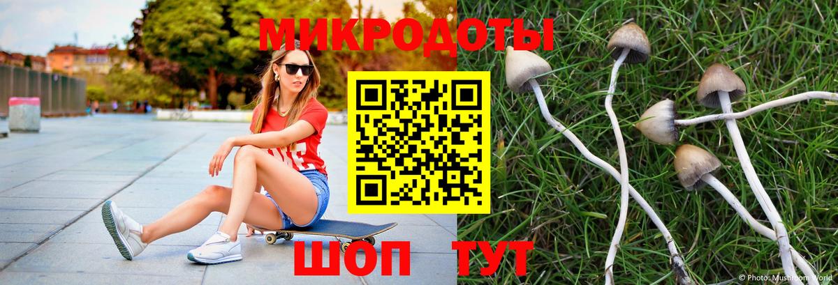 Брянск  Галлюциногенные грибы MAGIC MUSHROOMS  Вход с VPN 